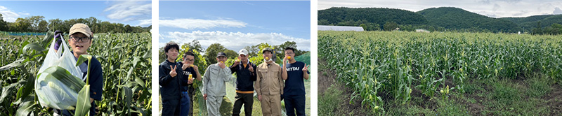 北海道網走市にある日本体育大学高等支援学校での収穫風景